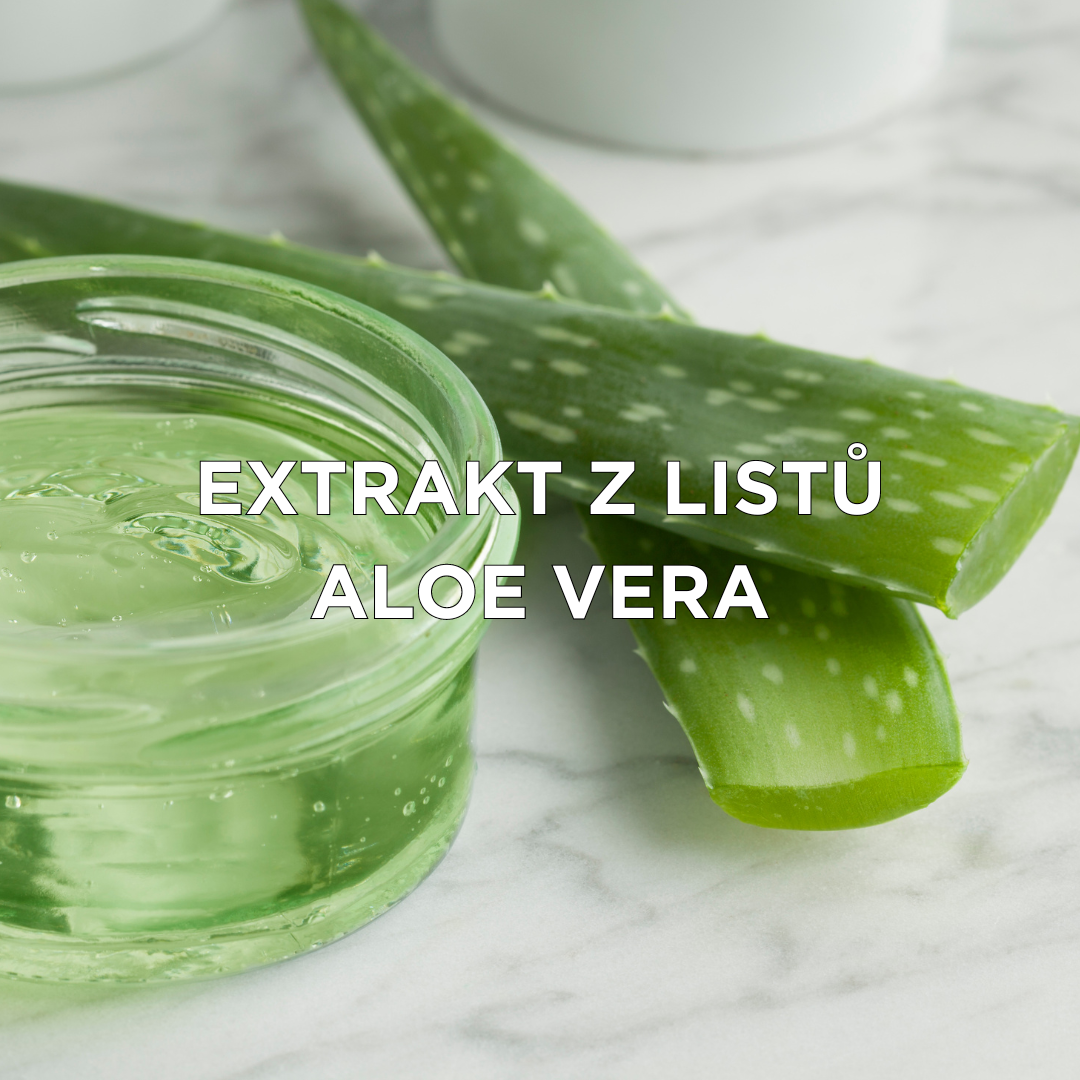 Extrakt z list aloe vera v kosmetice na tetovani Loveink Loveink Kosmetika pro tetovani