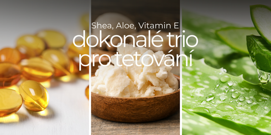 Přírodní složky, které si zamiluje tvá tetovaná pokožka – průvodce bambuckým máslem, aloe a vitamínem E