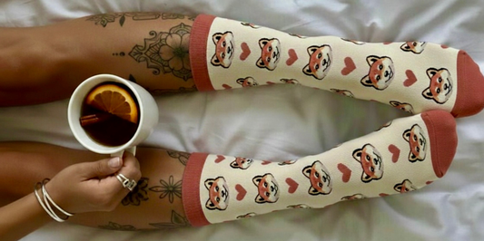 NOVINKA: DOGGO – ponožky s pejskem, který zlepší náladu lépe než ranní káva