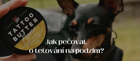 Jak pečovat o tetování na podzim? Kompletní průvodce péčí o čerstvá a zahojená tetování.